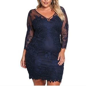 Navy Lace Embroidered Dress